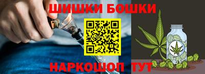 PSILOCYBIN Гатчина