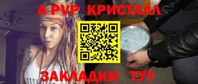 PSILOCYBIN Гатчина