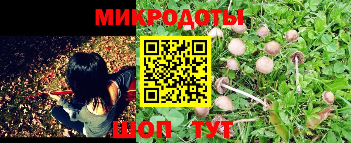 Галлюциногенные грибы мухоморы Абинск